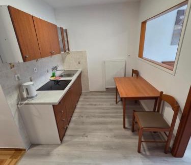 Bled House | Apartmaji Pri Kokolu