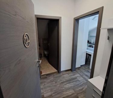 Predjama Apartment | Apartmaji Tisa in Žana