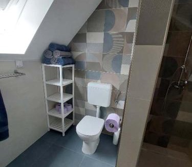 Cezsoca Apartment | APARTMAJI VITEZ Apartma 4