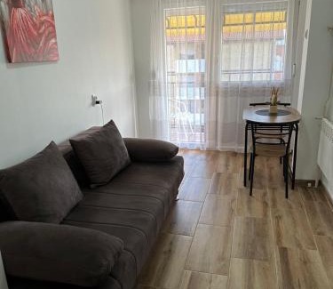 Zajecar Apartment | Apartman Ćirić