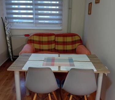 Zajecar Apartment | Apartman A-1