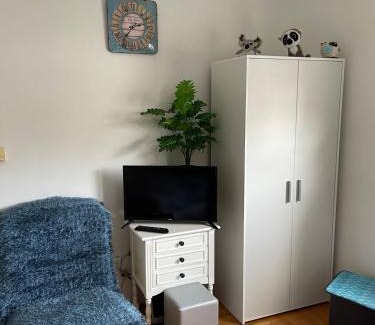 Gornji Milanovac Apartment | APARTMAN AGEKO
