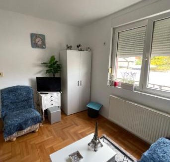 Gornji Milanovac Apartment | APARTMAN AGEKO