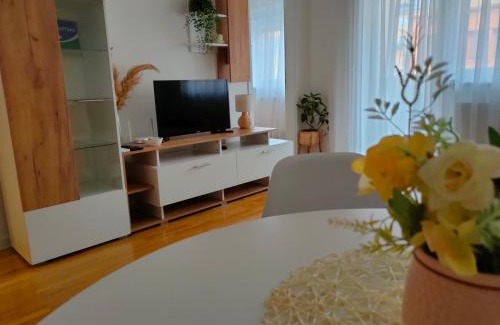 Milici Apartment | Apartman Aleksandar