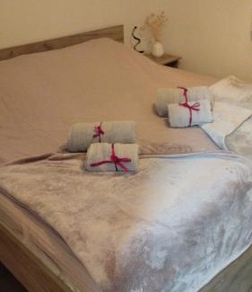 Backa Topola Apartment | Apartman Aleksandra u strogom centru grada