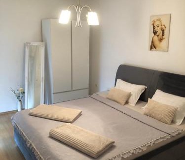 Trn Apartment | Apartman Alpeza