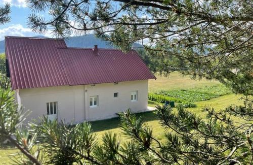 Njegovuđa Apartment | Apartman Bojovic