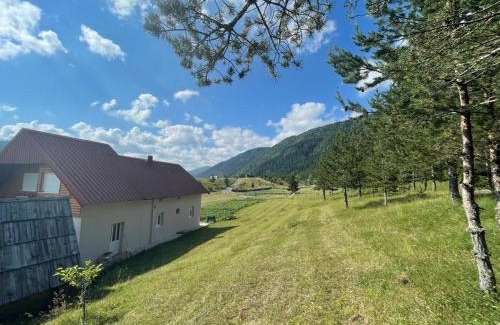 Njegovuđa Apartment | Apartman Bojovic