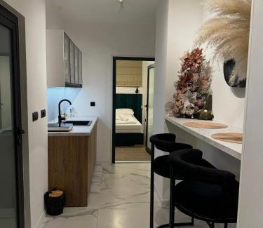 Sokolac Apartment | Apartman Bor