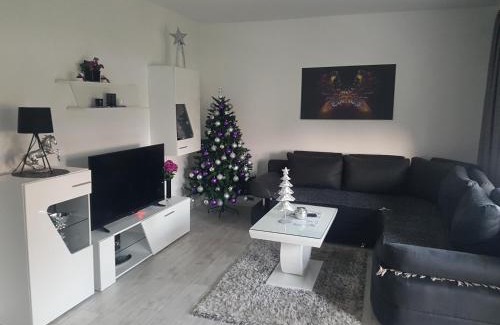 Arandelovac Apartment | Apartman DORA