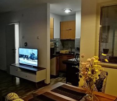 Teslic Apartment | Apartman EDEN No 1