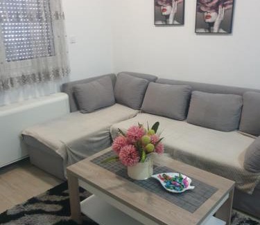 Modrica Apartment | Apartman Elly