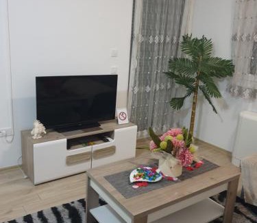 Modrica Apartment | Apartman Elly