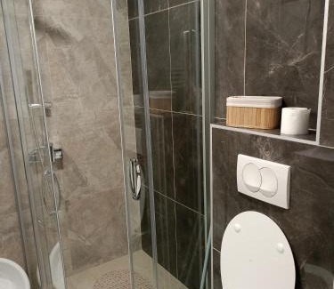 Soko Banja Apartment | Apartman Emilija