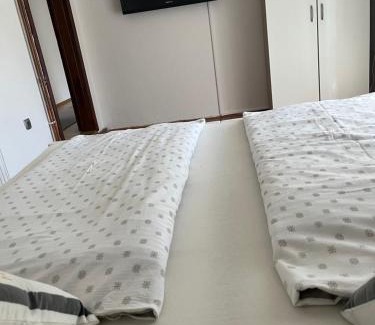 Mali Radic Apartment | Apartman House Jasmina