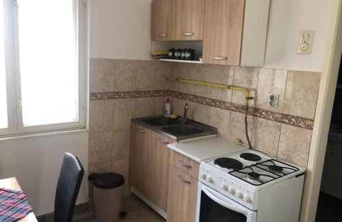 Vrbas Apartment | Apartman Jankovic