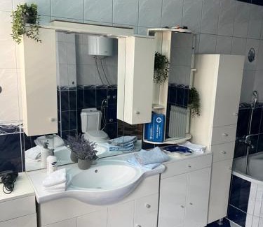 Mali Radic Apartment | Apartman kod Ismete