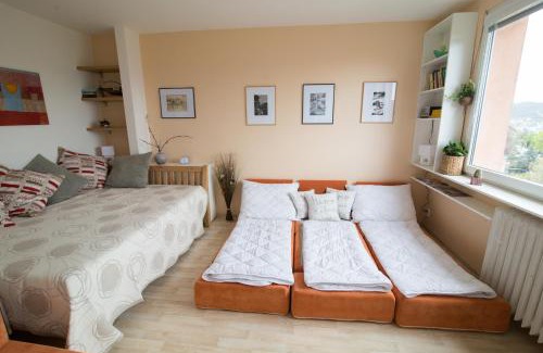 Usti nad Labem Apartment | Apartman Labe