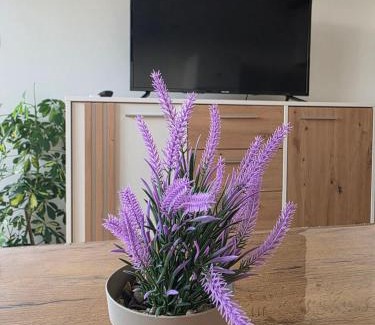 Teslic Apartment | Apartman LAVANDA