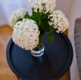 Sibenik Old Town Apartment | Apartman Maša