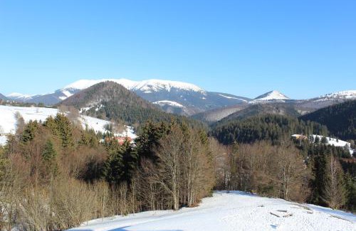 Donovaly Apartment | Apartman MARLEA