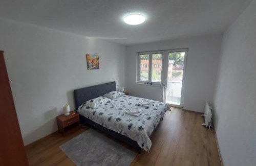 Mali Radic Apartment | Apartman "MEDENI"