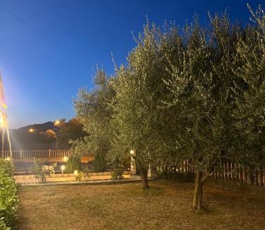 Radanovici Apartment | Apartman MIO