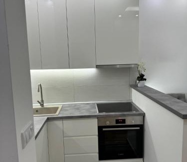Ub Apartment | Apartman Mojsilović