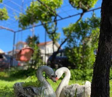 Bileca Apartment | Apartman Nađa