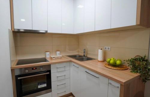 Bijeljina Apartment | Apartman Nemanja