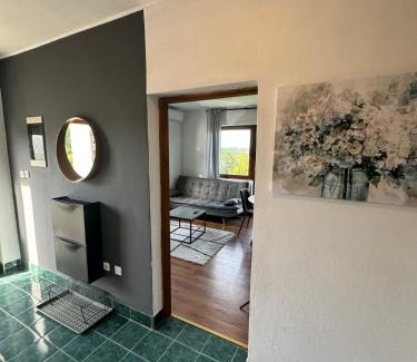 Topusko Apartment | Apartman Nikola