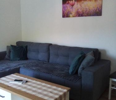 Soko Banja Apartment | Apartman Nisić