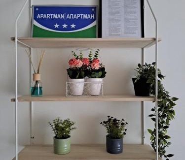 Milici Apartment | Apartman Park
