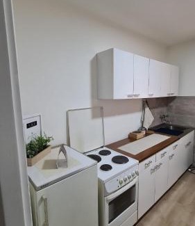 Leskovac Apartment | Apartman Pavlovic