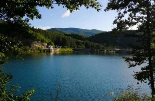 Zlatibor Apartment | Apartman Petar