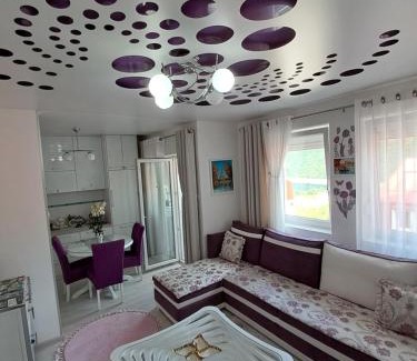 Pluzine Apartment | APARTMAN PETRA Lux
