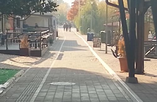 Veliko Gradiste Apartment | Apartman Plaža 7