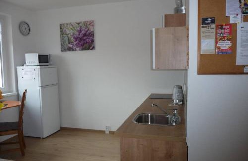 Sokolov Apartment | Apartman Q11