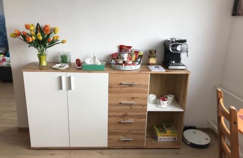 Sokolov Apartment | Apartman Q11