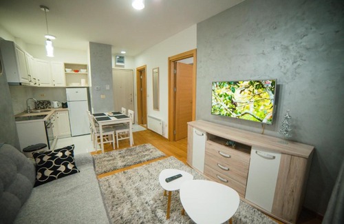 Zlatibor Apartment | Apartman S13 Vila Pekovic