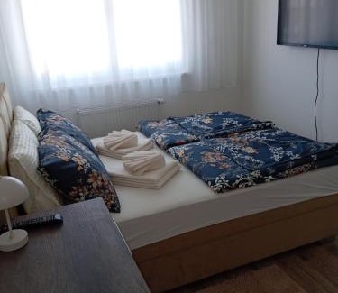 Banja Koviljaca Apartment | Apartman “Sana”