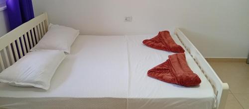 Shengjin Apartment | Apartman Shengjin - Kune