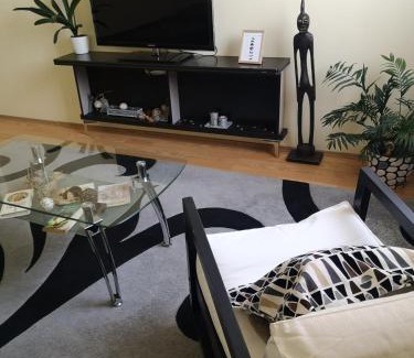 Zajecar Apartment | Apartman Stanimirović