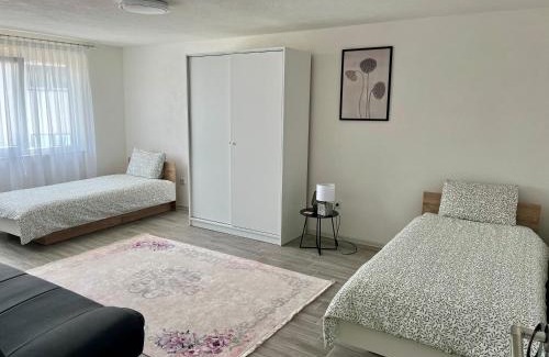 Mali Radic Apartment | Apartman Stari Grad