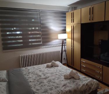 Pale Apartment | Apartman Toljaga Pale