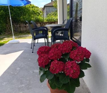 Mali Radic Apartment | Apartman Una na dlanu, Novi Grad