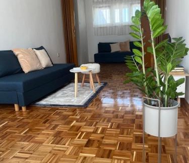 Bileca Apartment | Apartman Vera