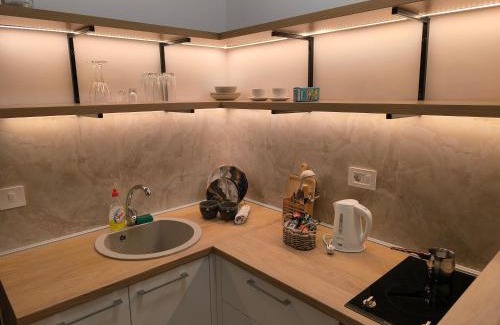 Surcin Apartment | Apartman Viktor