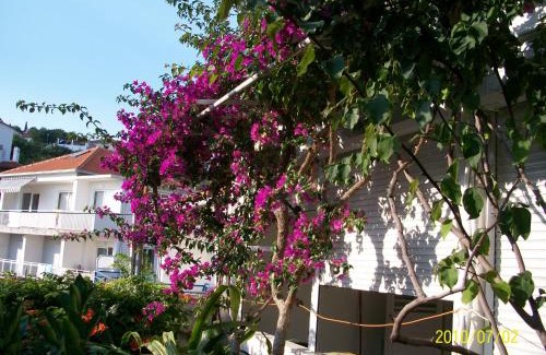 Hvar House | Apartmani Šurlin