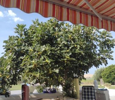 Dinjiska Apartment | APARTMANI ALEN